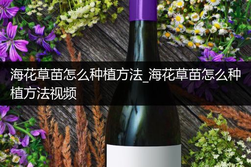 海花草苗怎么种植方法_海花草苗怎么种植方法视频