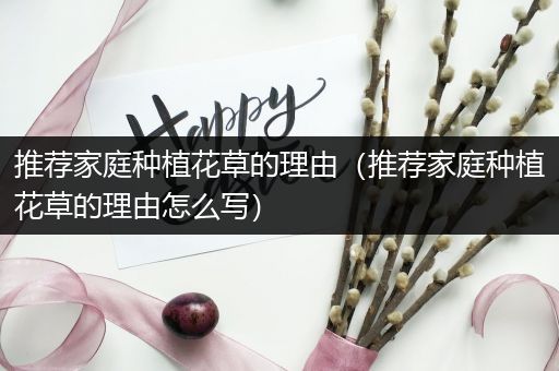 推荐家庭种植花草的理由（推荐家庭种植花草的理由怎么写）