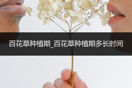 百花草种植期_百花草种植期多长时间