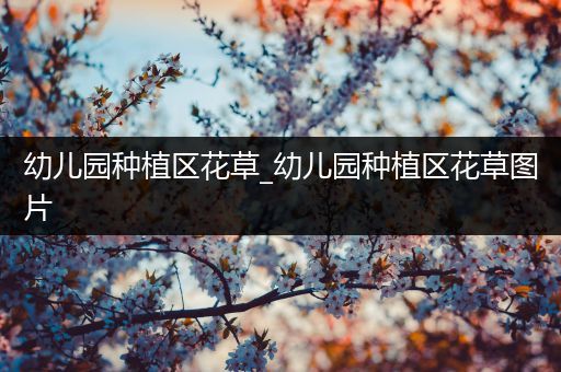 幼儿园种植区花草_幼儿园种植区花草图片