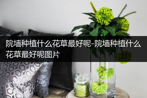 院墙种植什么花草最好呢-院墙种植什么花草最好呢图片