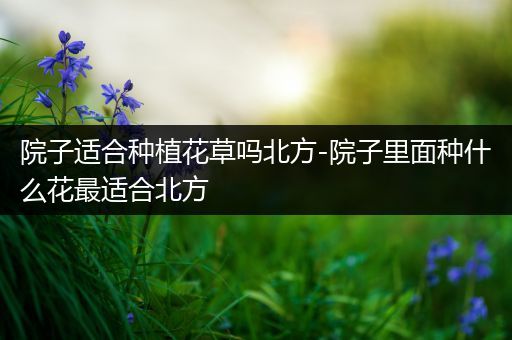 院子适合种植花草吗北方-院子里面种什么花最适合北方