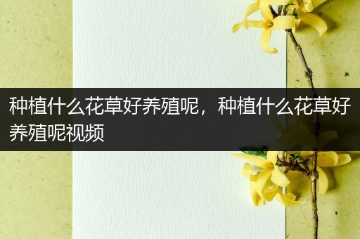 种植什么花草好养殖呢，种植什么花草好养殖呢视频