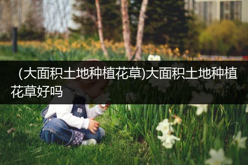 （大面积土地种植花草)大面积土地种植花草好吗