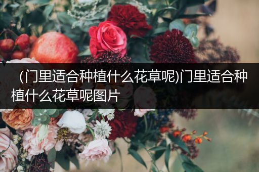 （门里适合种植什么花草呢)门里适合种植什么花草呢图片