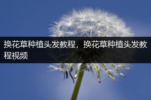 换花草种植头发教程，换花草种植头发教程视频