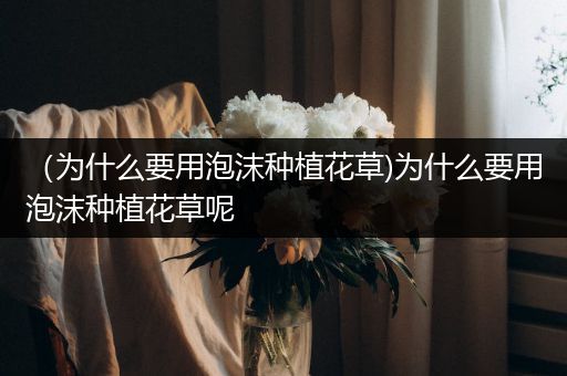 （为什么要用泡沫种植花草)为什么要用泡沫种植花草呢