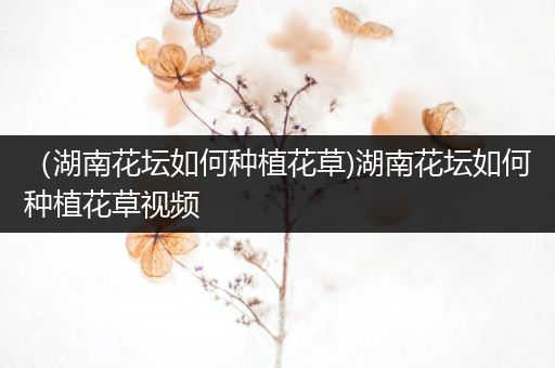 （湖南花坛如何种植花草)湖南花坛如何种植花草视频