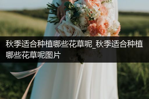 秋季适合种植哪些花草呢_秋季适合种植哪些花草呢图片
