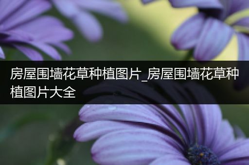 房屋围墙花草种植图片_房屋围墙花草种植图片大全