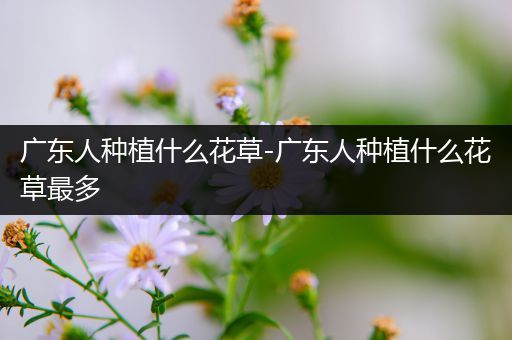 广东人种植什么花草-广东人种植什么花草最多