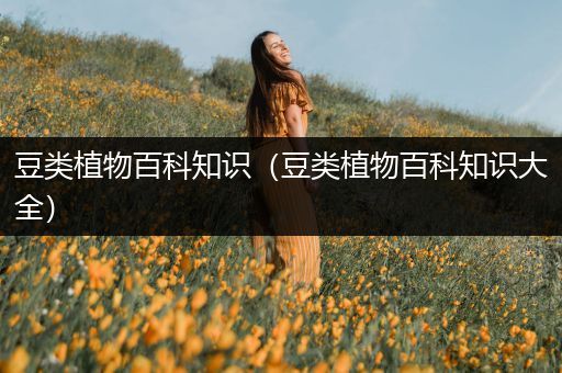 豆类植物百科知识（豆类植物百科知识大全）