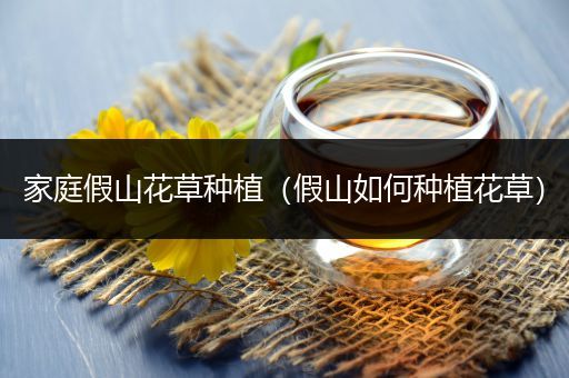家庭假山花草种植（假山如何种植花草）
