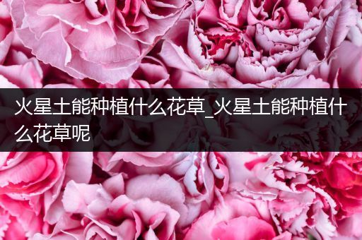 火星土能种植什么花草_火星土能种植什么花草呢