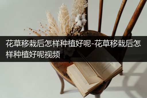 花草移栽后怎样种植好呢-花草移栽后怎样种植好呢视频