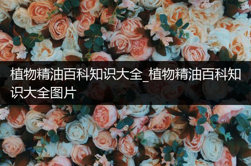 植物精油百科知识大全_植物精油百科知识大全图片