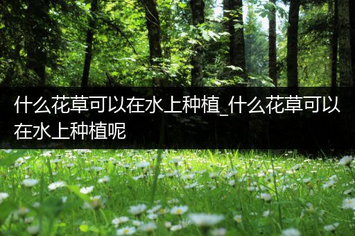 什么花草可以在水上种植_什么花草可以在水上种植呢