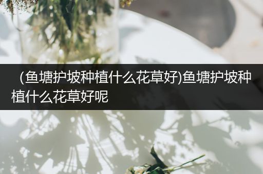 （鱼塘护坡种植什么花草好)鱼塘护坡种植什么花草好呢