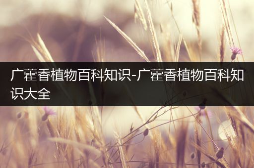 广藿香植物百科知识-广藿香植物百科知识大全