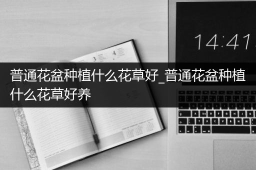 普通花盆种植什么花草好_普通花盆种植什么花草好养