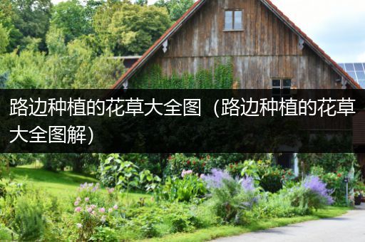路边种植的花草大全图（路边种植的花草大全图解）