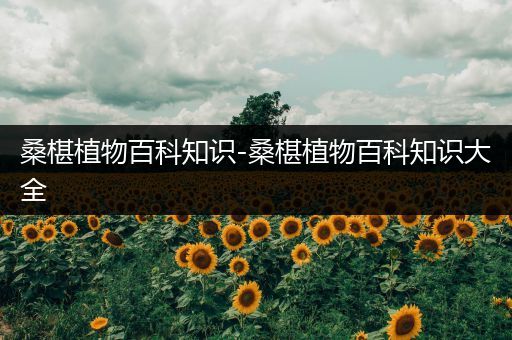 桑椹植物百科知识-桑椹植物百科知识大全