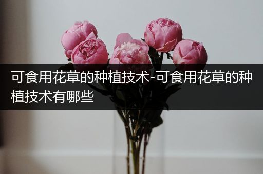 可食用花草的种植技术-可食用花草的种植技术有哪些