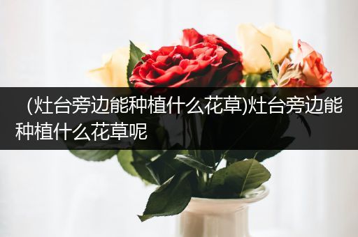 （灶台旁边能种植什么花草)灶台旁边能种植什么花草呢