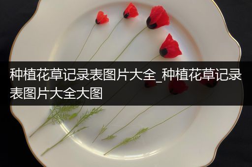 种植花草记录表图片大全_种植花草记录表图片大全大图