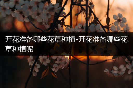 开花准备哪些花草种植-开花准备哪些花草种植呢