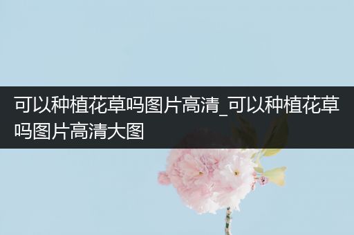 可以种植花草吗图片高清_可以种植花草吗图片高清大图