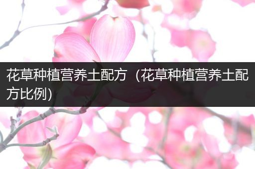花草种植营养土配方（花草种植营养土配方比例）