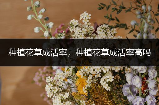 种植花草成活率，种植花草成活率高吗