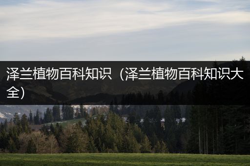 泽兰植物百科知识（泽兰植物百科知识大全）