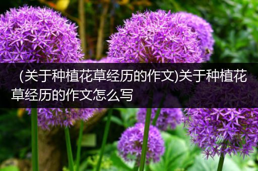 （关于种植花草经历的作文)关于种植花草经历的作文怎么写