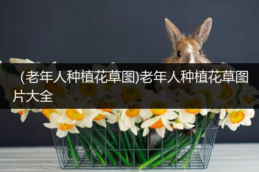 （老年人种植花草图)老年人种植花草图片大全