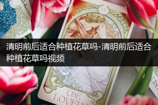 清明前后适合种植花草吗-清明前后适合种植花草吗视频
