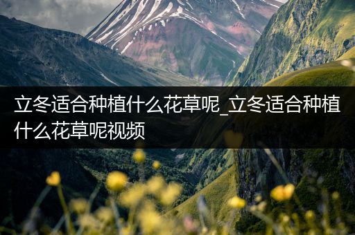 立冬适合种植什么花草呢_立冬适合种植什么花草呢视频