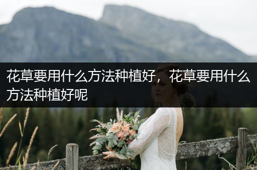 花草要用什么方法种植好，花草要用什么方法种植好呢