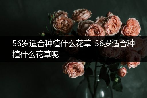 56岁适合种植什么花草_56岁适合种植什么花草呢