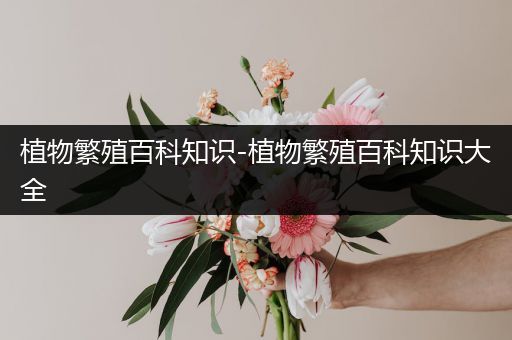 植物繁殖百科知识-植物繁殖百科知识大全