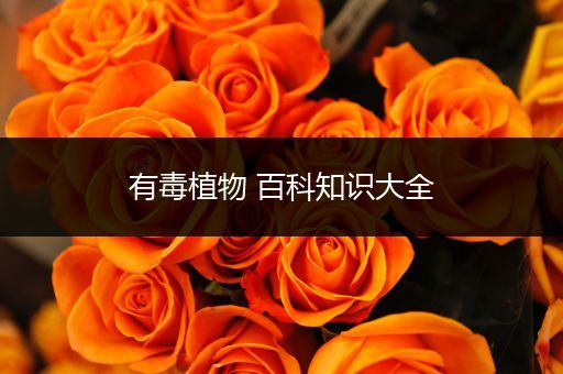 有毒植物 百科知识大全