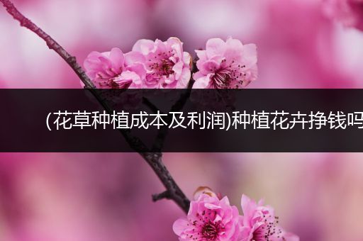 （花草种植成本及利润)种植花卉挣钱吗