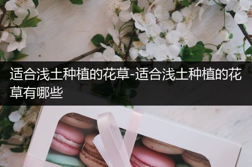 适合浅土种植的花草-适合浅土种植的花草有哪些