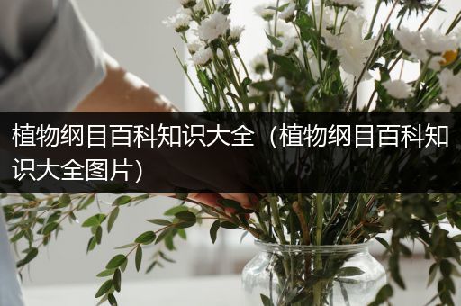 植物纲目百科知识大全（植物纲目百科知识大全图片）