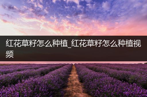 红花草籽怎么种植_红花草籽怎么种植视频