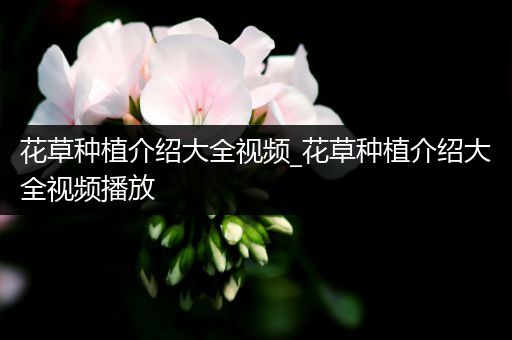 花草种植介绍大全视频_花草种植介绍大全视频播放