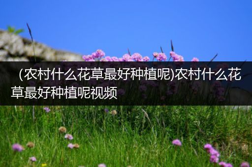 （农村什么花草最好种植呢)农村什么花草最好种植呢视频