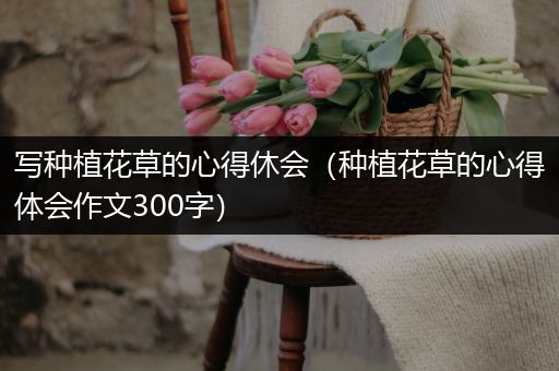 写种植花草的心得休会（种植花草的心得体会作文300字）