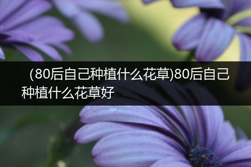 （80后自己种植什么花草)80后自己种植什么花草好